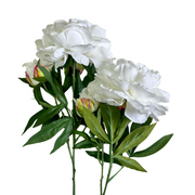 PEONÍA BLANCA ABIERTA 65 CM