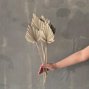 VARAS SECAS HOJA DE PALMERA VERDES