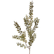 RAMA RUSCUS VERDE 95CM