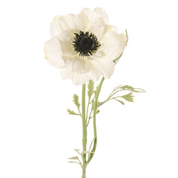 ANEMONA BLANCA 53CM