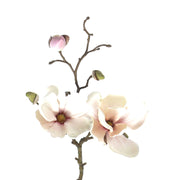 MAGNOLIA SOULANGEANA ROSA PALIDO 48 CM