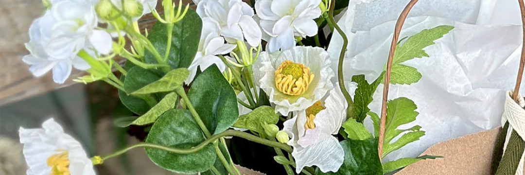 FLORES Y PLANTAS
