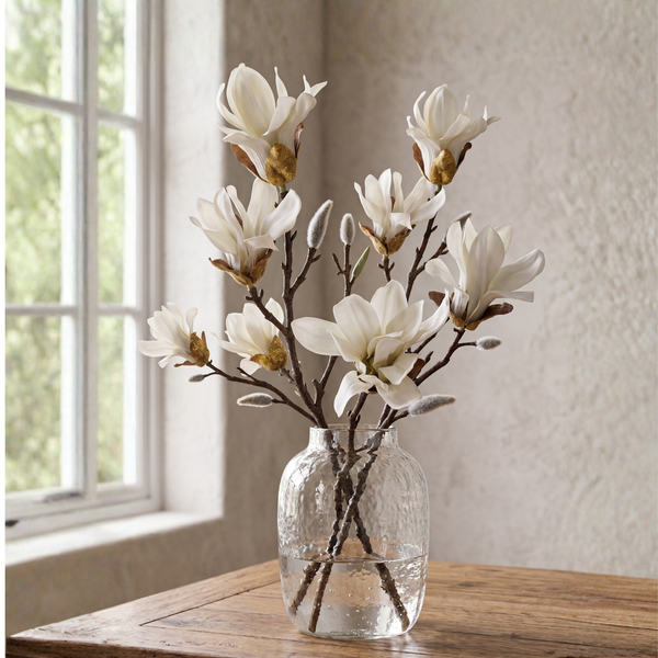 MAGNOLIA STELLATA CREMA 60CM