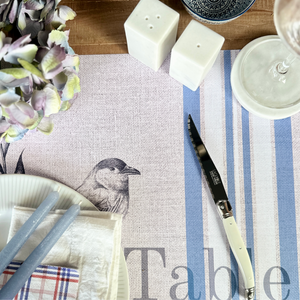 INDIVIDUALES PAPEL LINEAS AZULES