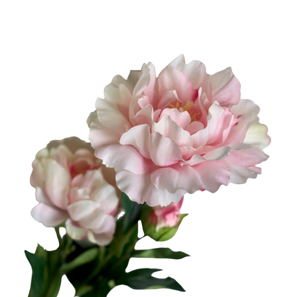 PEONÍA ROSA PÁLIDO ABIERTA  73 CM