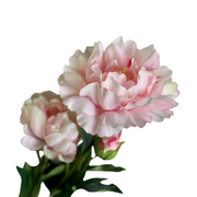 PEONÍA ROSA PÁLIDO ABIERTA  73 CM