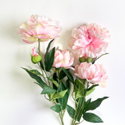 PEONÍA ROSA PÁLIDO ABIERTA  73 CM