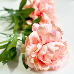 PEONÍA DAMASCO ABIERTA 65 CM