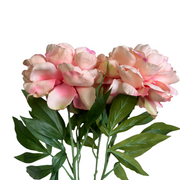 PEONÍA DAMASCO ABIERTA 65 CM