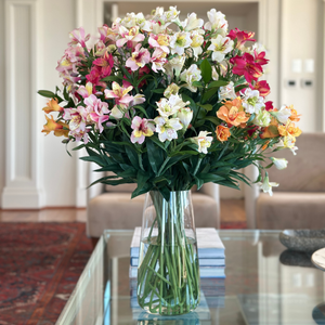 ASTROMELIA BLANCA 75 CM