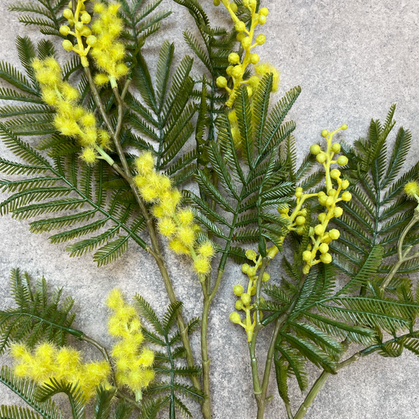 AROMO AMARILLO 77 CM