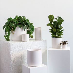 KENDALL POT BLANCO S