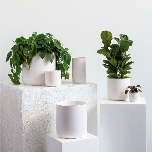 KENDALL POT BLANCO S