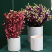 PORTAMACETERO MARMOL BLANCO L