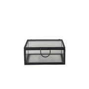 CAJA DE VIDRIO Y METAL XS