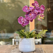 ORQUIDEA BURDEO 102 CM