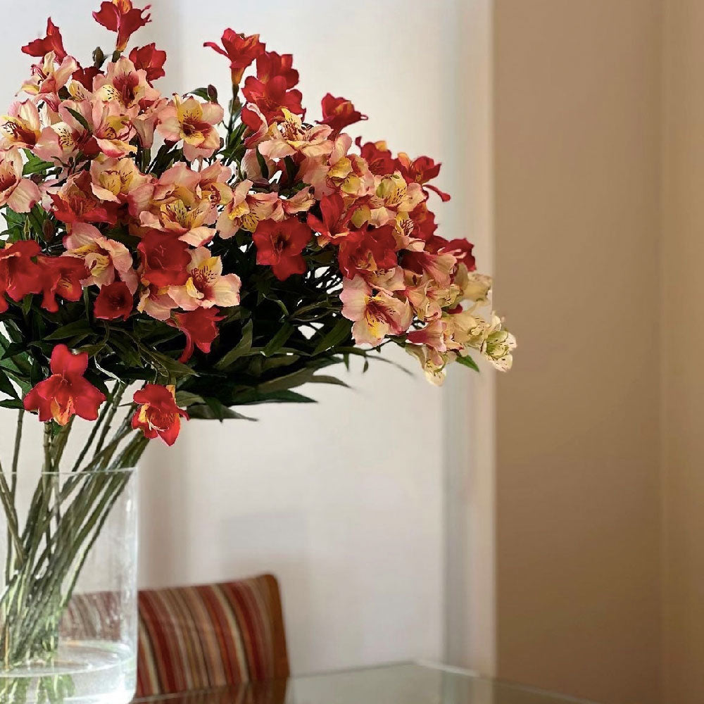 ASTROMELIA FUCSIA 75 CM