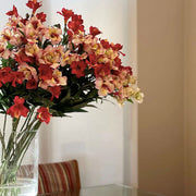 ASTROMELIA BLANCA CON ROSADO 75 CM