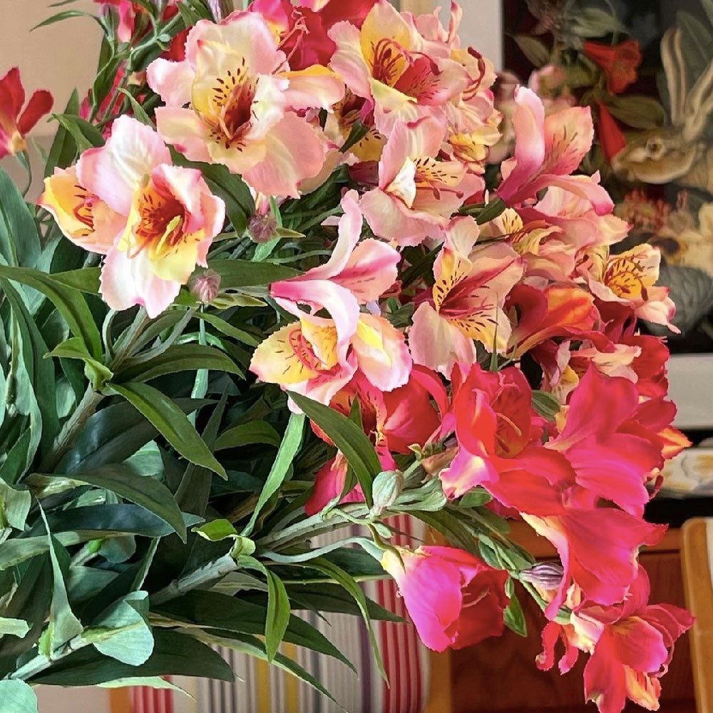 ASTROMELIA BLANCA CON ROSADO 75 CM