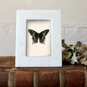 MARCO DE MÁRMOL BLANCO S