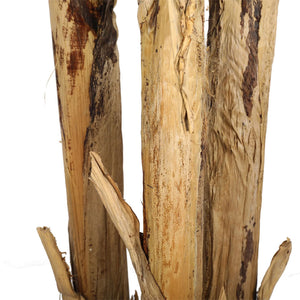 PLANTA BANANO 280 CM