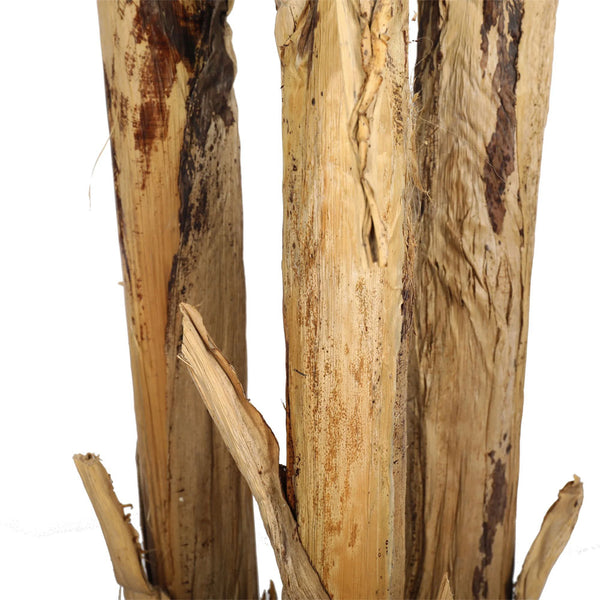 PLANTA BANANO 280 CM