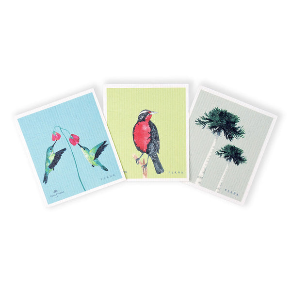 PAÑOS ABSORBENTES FERNA L