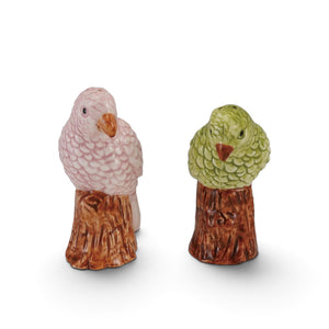 SET SALERO Y PIMENTERO LORO VERDE Y ROSADO