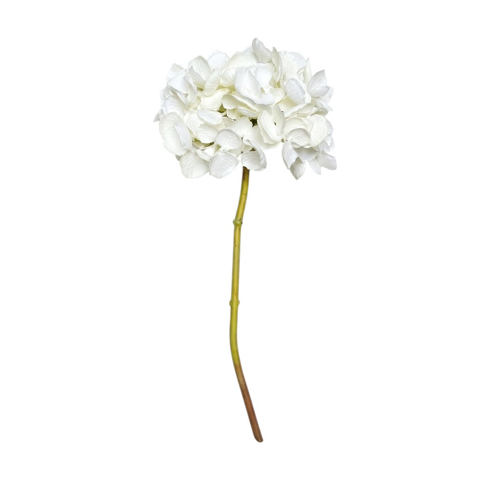 HORTENSIA BLANCA 50 CM