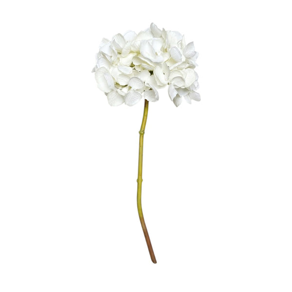 HORTENSIA BLANCA 50 CM