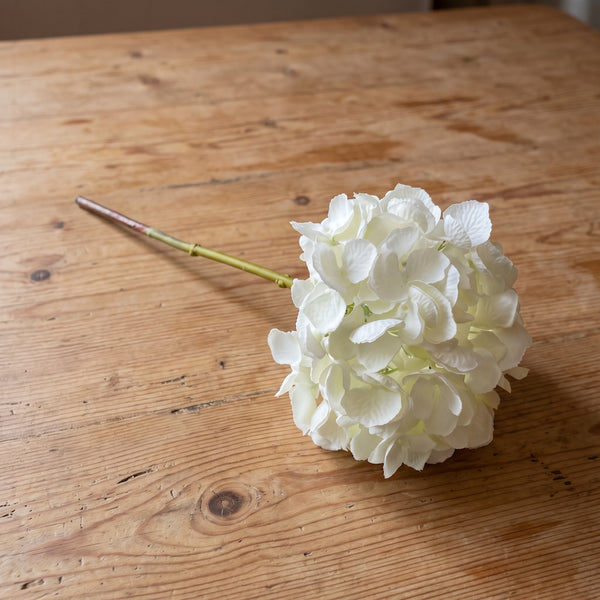 HORTENSIA BLANCA 50 CM