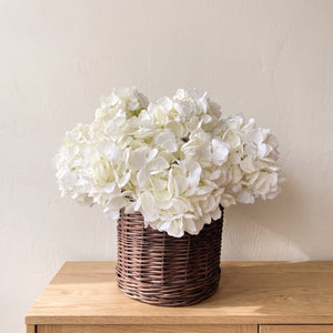 HORTENSIA BLANCA 50 CM
