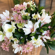 MAGNOLIA STELLATA ROSA PALIDO 60CM