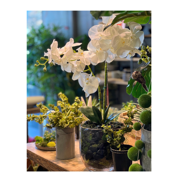 ORQUÍDEA BLANCA 110 CM