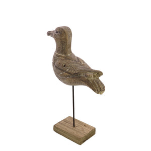 GAVIOTA KELSO