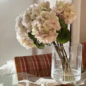 HORTENSIA BLANCA CON ROSADO 60 CM