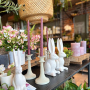 VELA CANDELABRO 25CM BEET