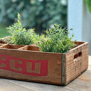 CAJA CCU ANTIGUA PARA BOTELLAS