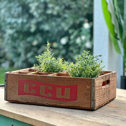 CAJA CCU ANTIGUA PARA BOTELLAS