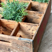 CAJA CCU ANTIGUA PARA BOTELLAS