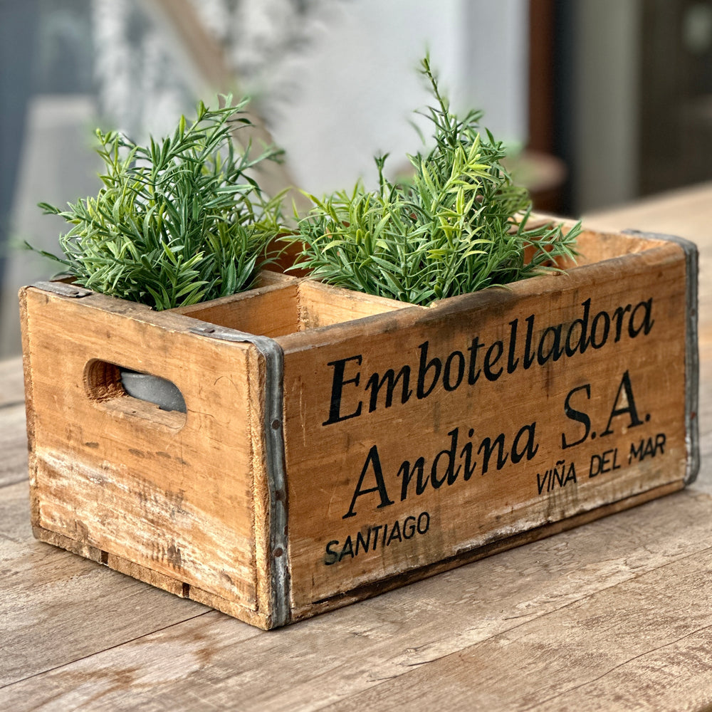 CAJA EMBOTELLADORA ANDINA PARA BOTELLAS