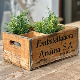 CAJA EMBOTELLADORA ANDINA PARA BOTELLAS