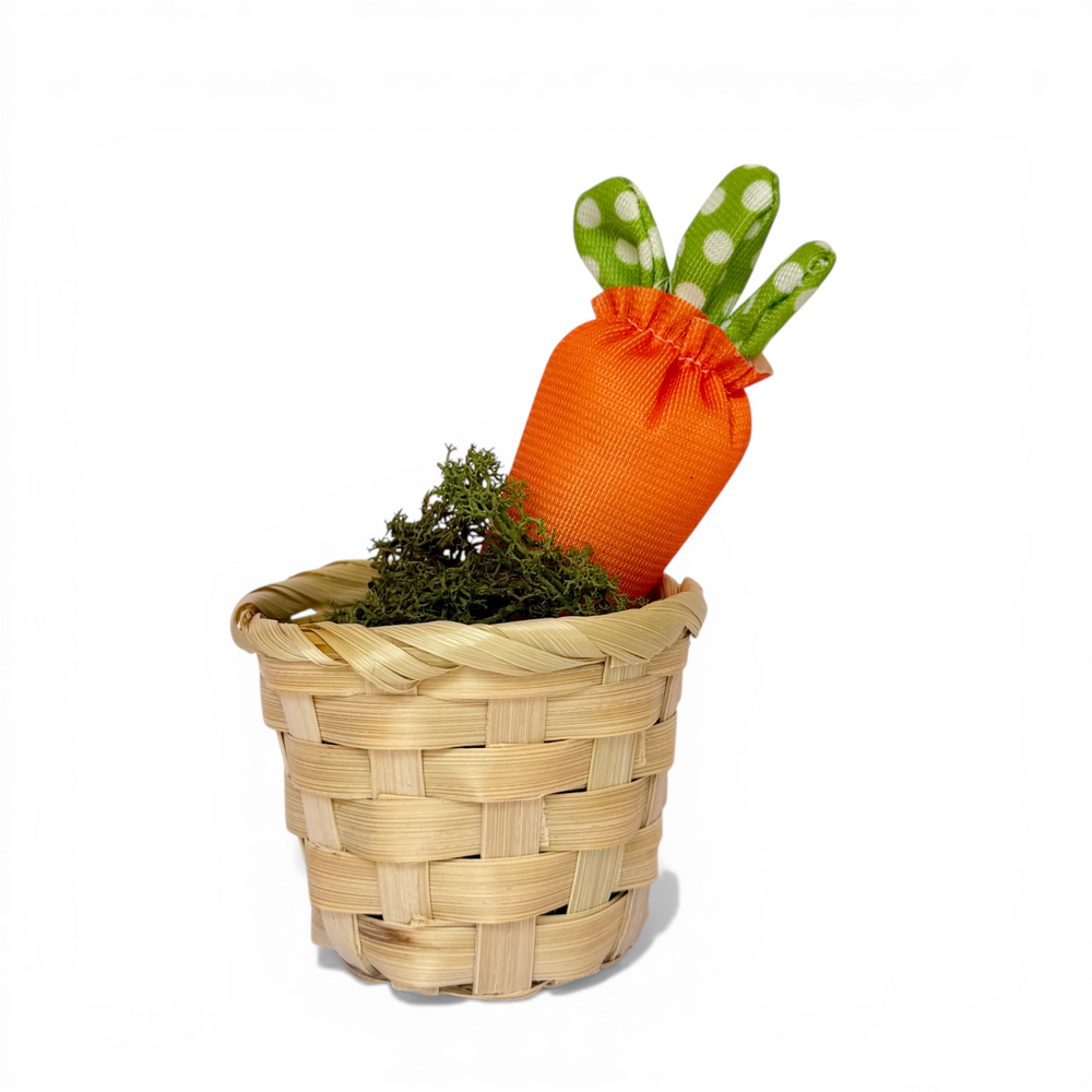 CANASTO Y ZANAHORIA  S