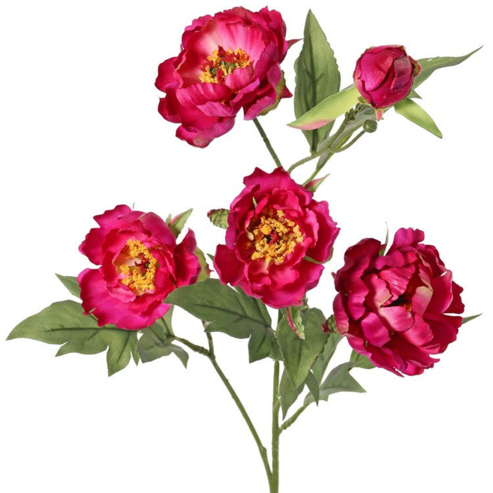 VARA DE MINI PEONIA FUCSIA
