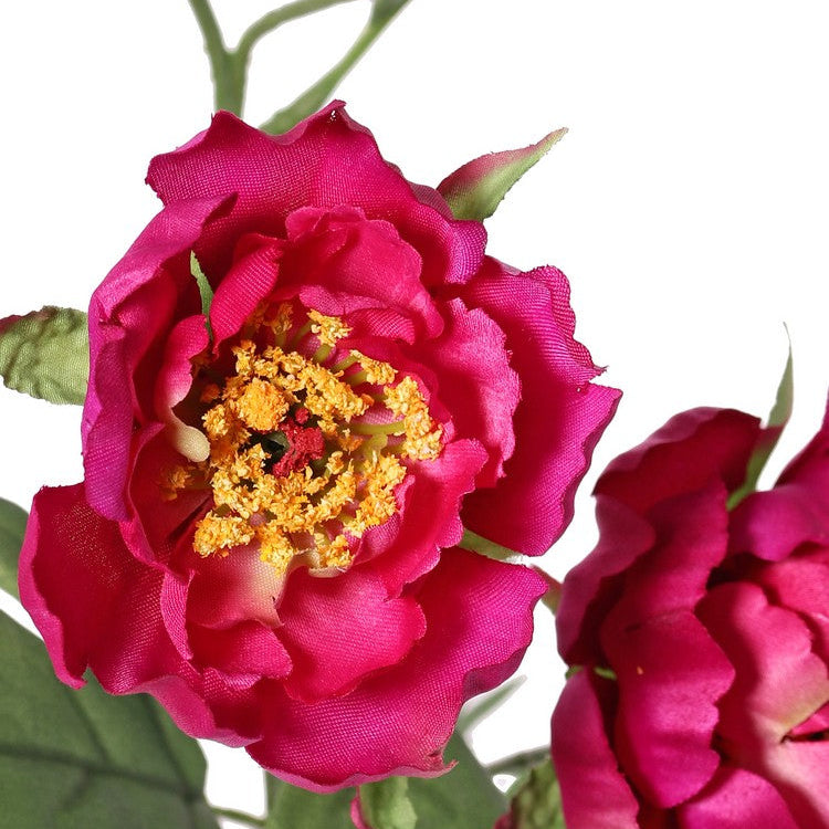 VARA DE MINI PEONIA FUCSIA