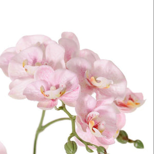 ORQUÍDEA ROSADA 3 VARAS