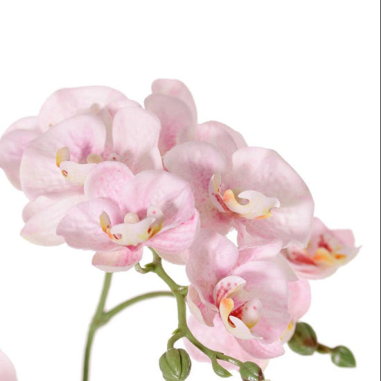 ORQUÍDEA ROSADA 3 VARAS