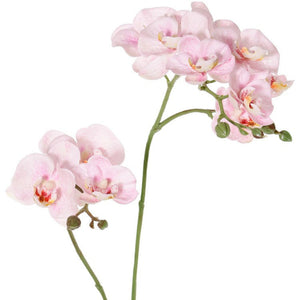 ORQUÍDEA ROSADA 3 VARAS