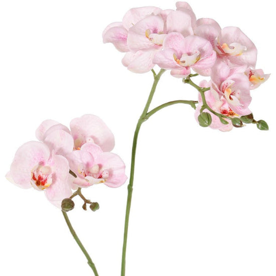 ORQUÍDEA ROSADA 3 VARAS