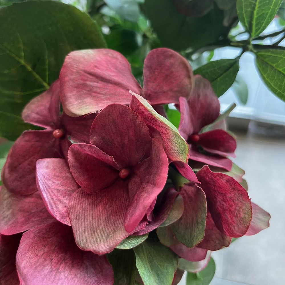 HORTENSIA FUCSIA CON VERDE 33CM